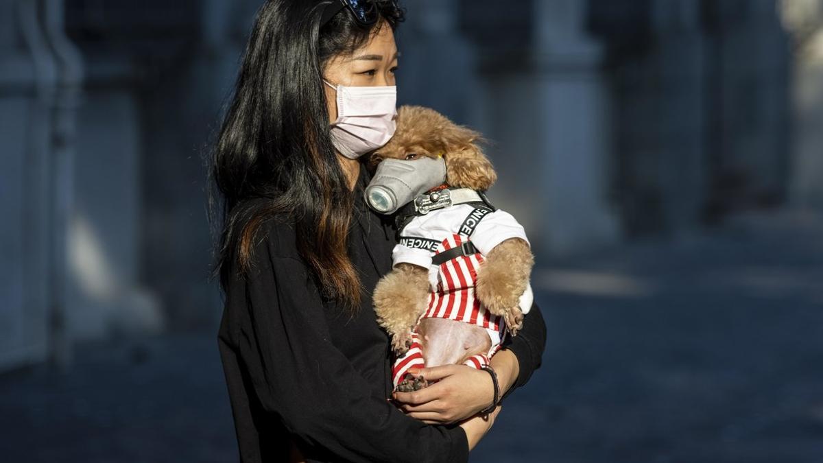 Una mujer y su mascota, con mascarillas, en la ciudad china de Guangzhou.