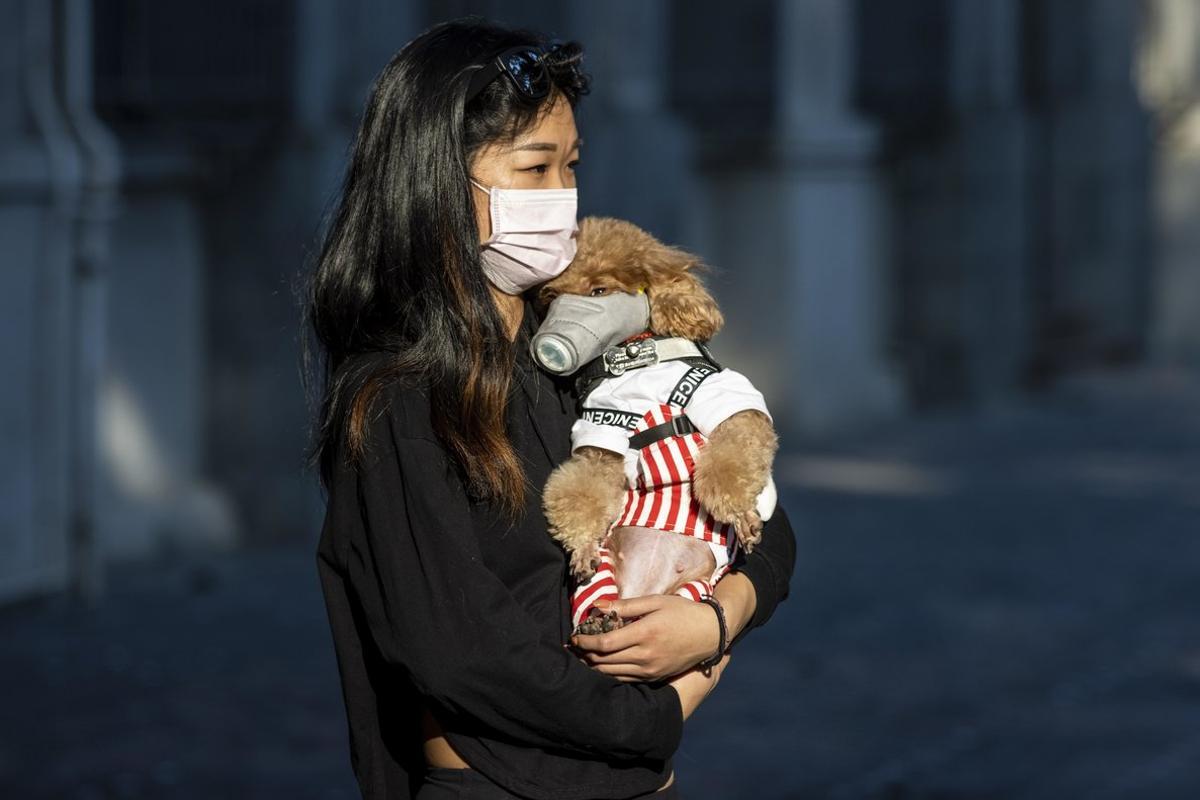 Guangzhou (China), 21/02/2020.- A woman wearing a face mask holds her dog, also wearing a face mask, in Guangzhou, Guangdong, China, 21 February 2020. The disease COVIDF-19, caused by coronavirus SARS-CoV-2, has so far killed 2,247 people with over 76,200 infected worldwide. EFE/EPA/ALEX PLAVEVSKI