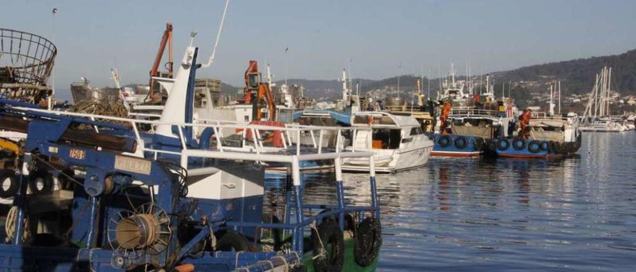 Bateeiros de Bueu amarrados a puerto debido a los índices de toxina en la ría de Pontevedra. // S.Á.