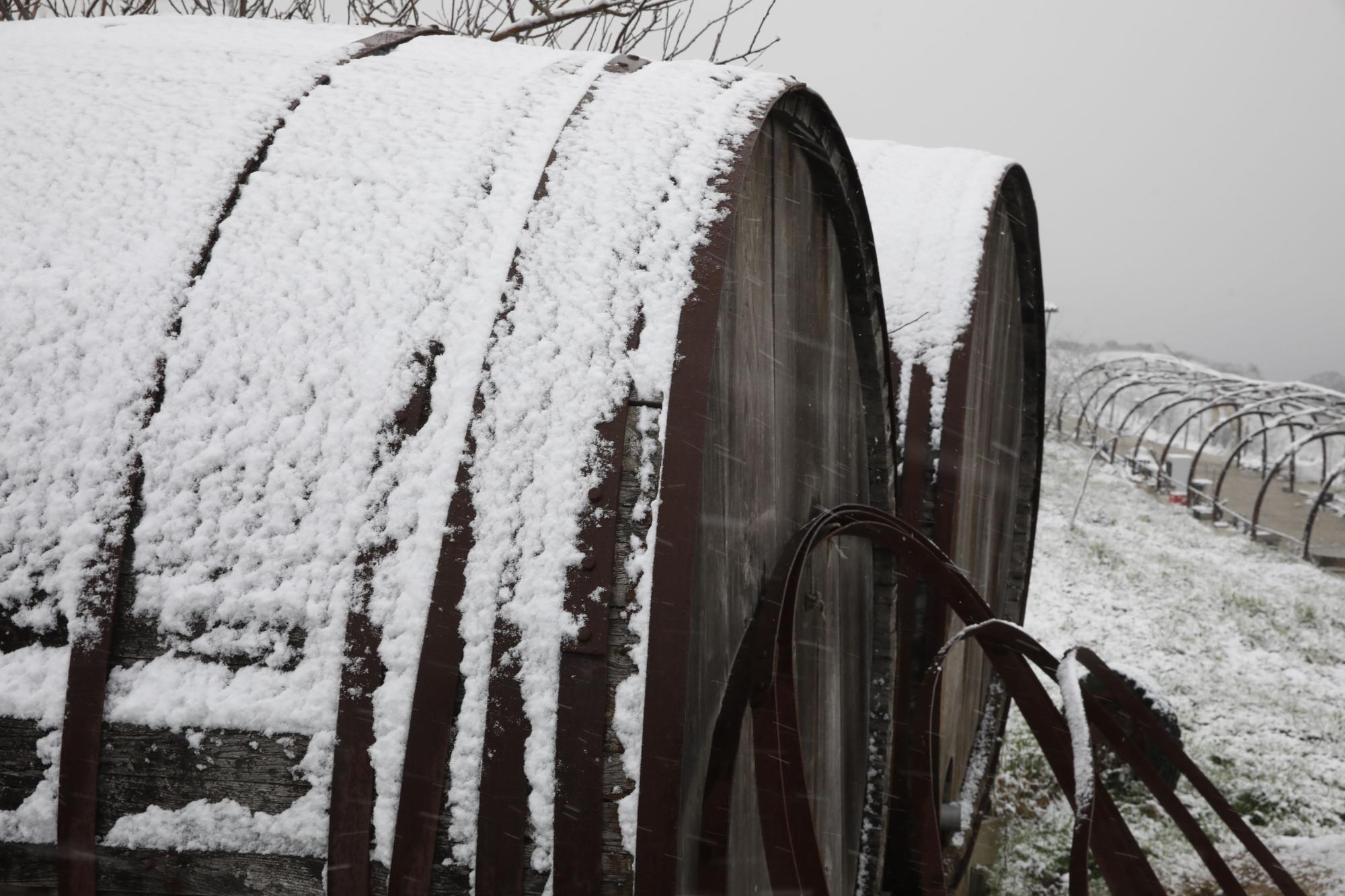 En imágenes: La borrasca Juliette llena de nieve parte de la zona rural de Gijón