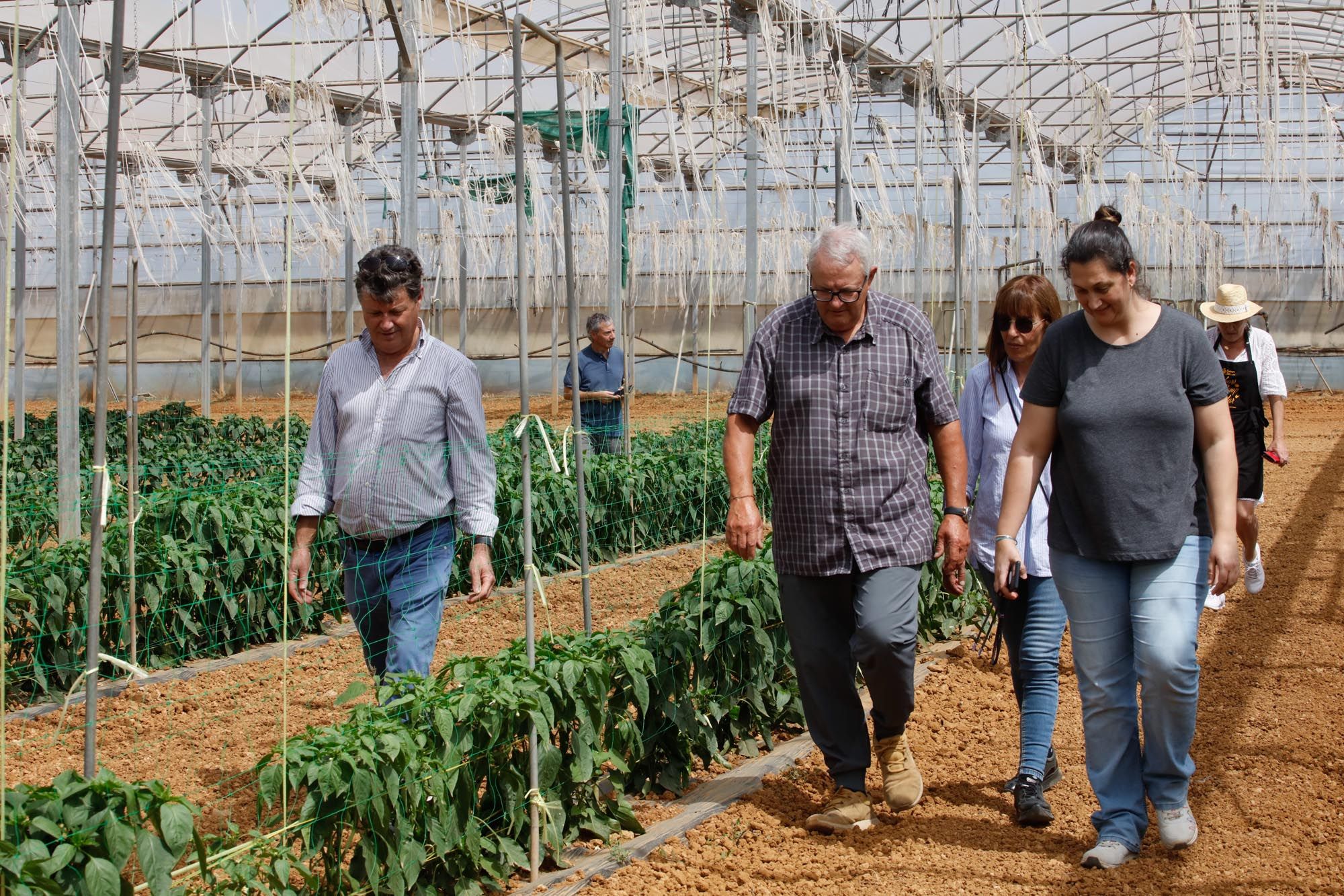 Visita guiada a la finca hortícola de Can Pol en Ibiza