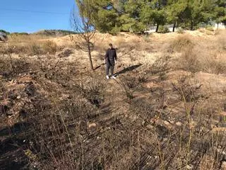 Un pequeño meteorito cae en Elda y provoca un incendio