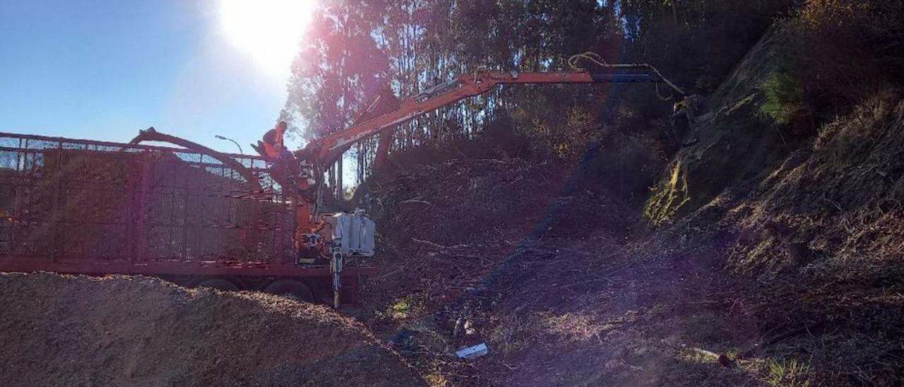 La Xunta continúa esta semana con la tala de árboles pirófilos en la PO-531