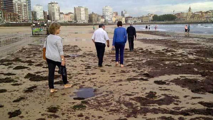 Carmen Moriyón, en la playa de San Lorenzo, cubierta de algas, con personal de Emulsa.