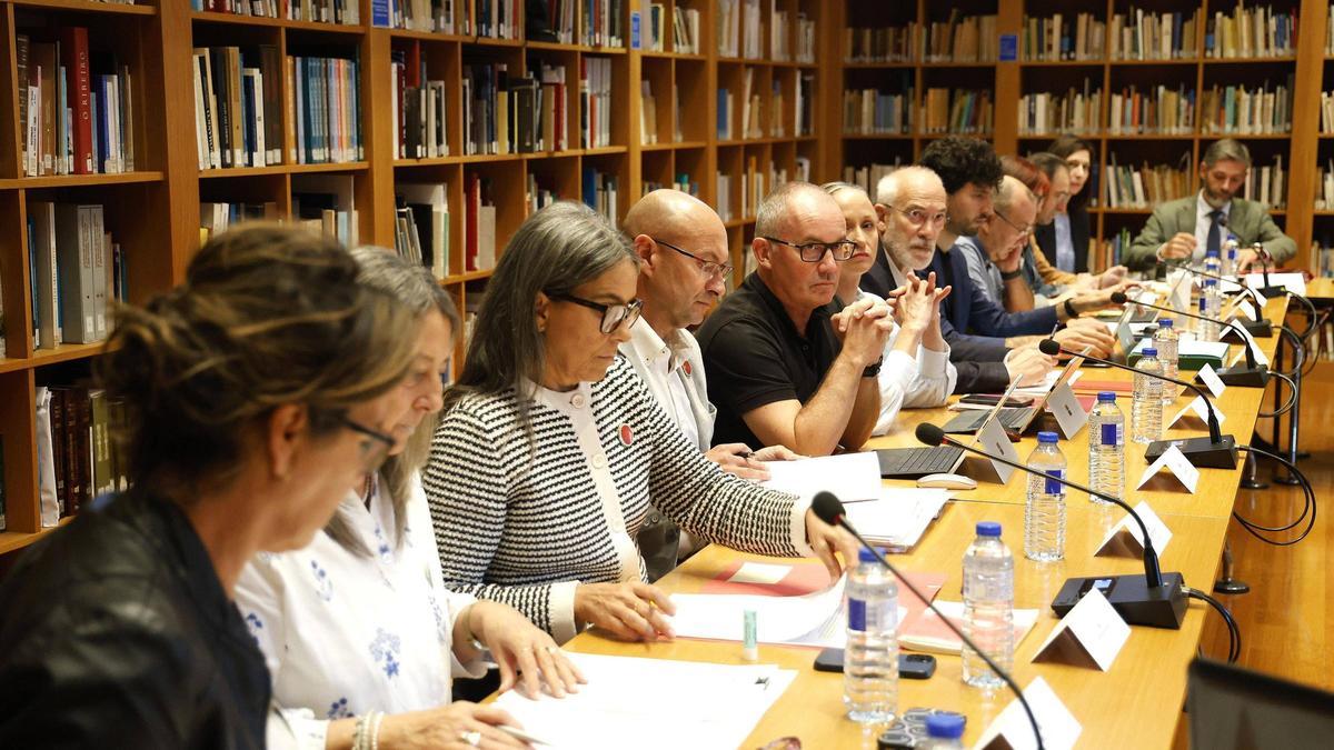 Imaxe do último pleno, celebrado na biblioteca do Consello da Cultura Galega por mor das obras en Raxoi