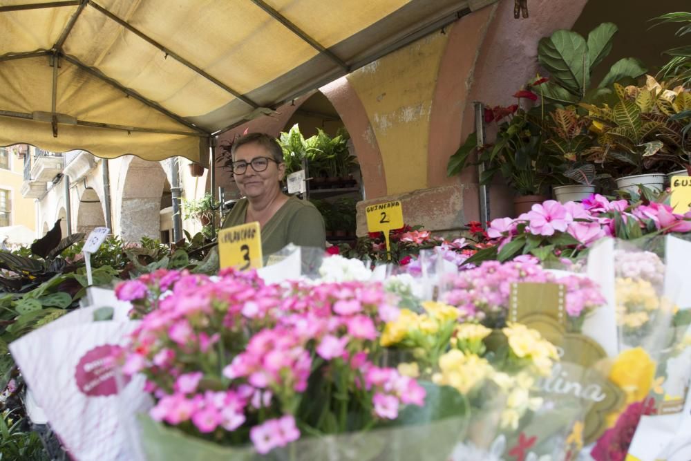 Reportaje de floristas del Fontán