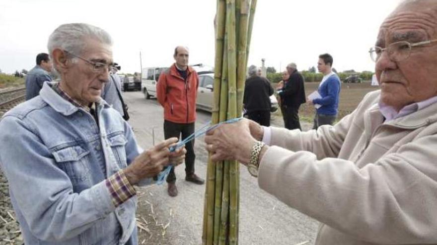 La UMH aboga por generar riqueza con el cultivo del cáñamo para el sector textil