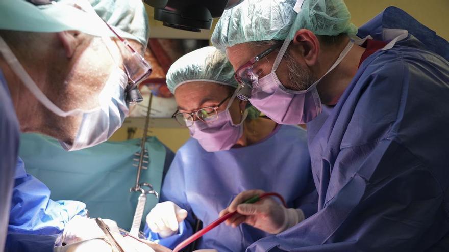 Canarias prepara una estrategia oncológica hasta 2032 para priorizar cribados y la atención infantil