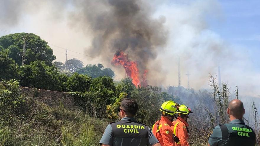 Un incendio calcina 8.000 m2 de bosque en Alfara de la Baronia