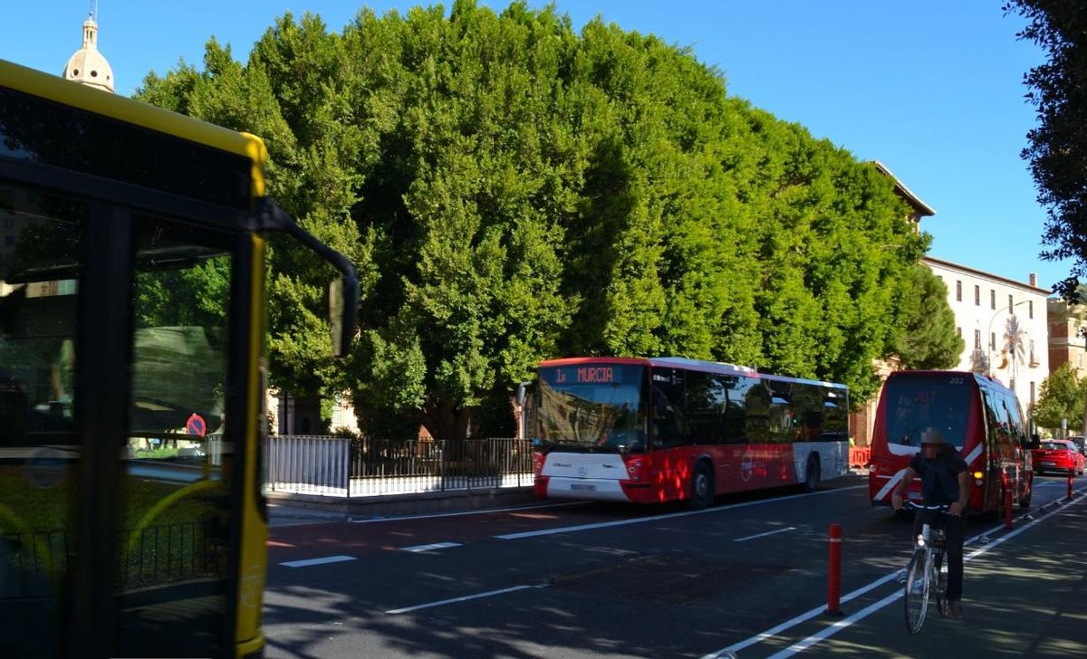 La avenida Teniente Flomesta recuperará el doble sentido