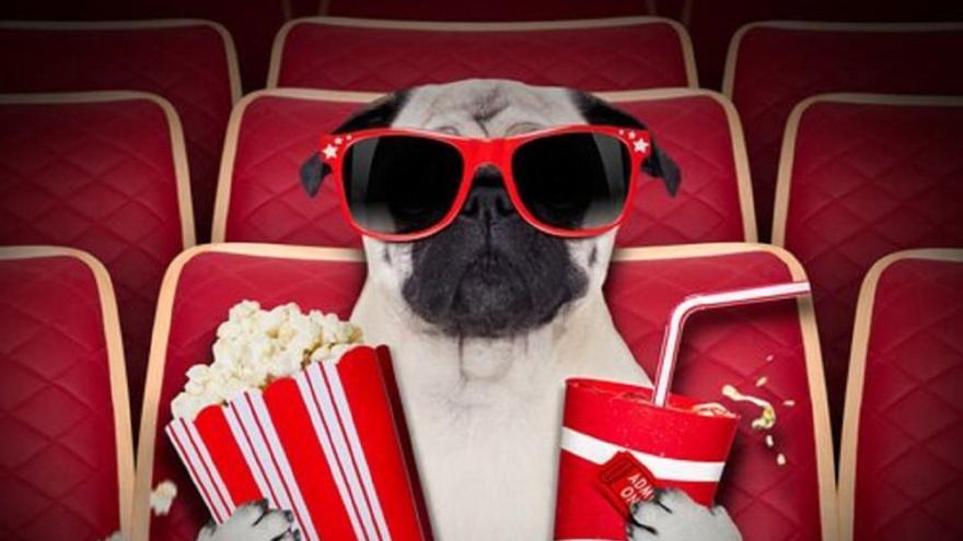 Consulta la carteleras de los cines de la Región para este fin de semana