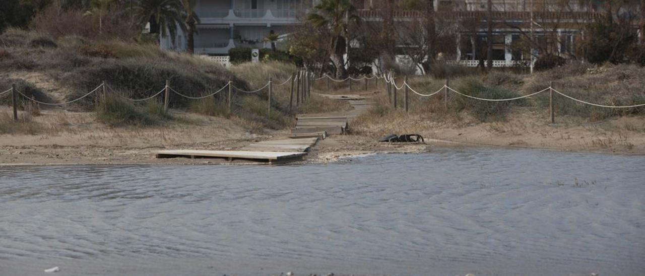 La primera línea de 10 playas valencianas será revisada por el Ministerio.