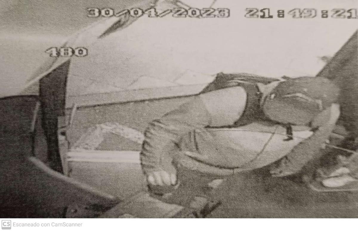 Las cámaras del C3, el autobús que resultó dañado en Tomás Alonso, captaron al sospechoso del incendio, que llevaba gorra, gafas de sol y mascarilla.