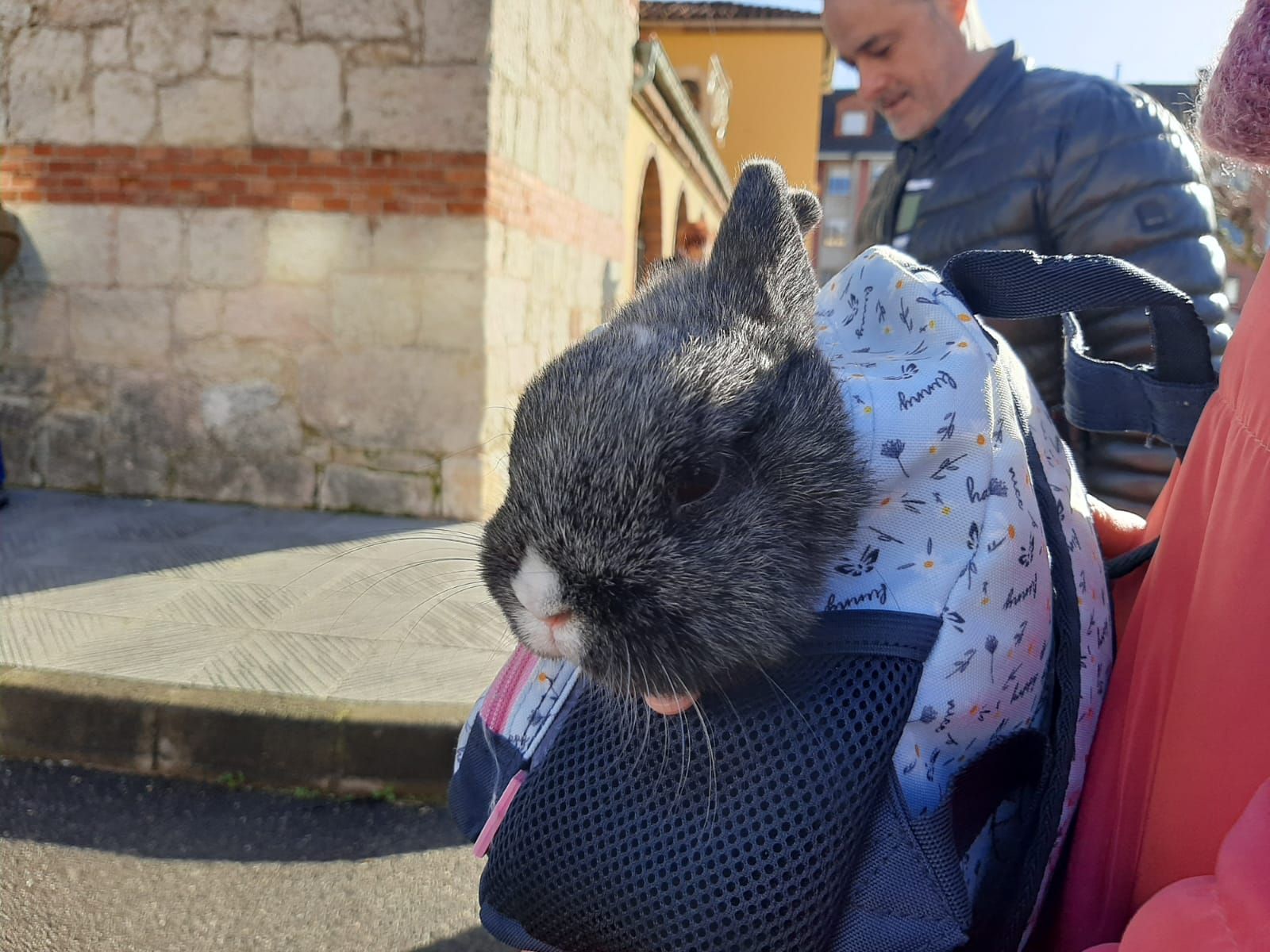 San Antón, hasta la bandera en Lugones: decenas de vecinos llevan a bendecir a sus mascotas