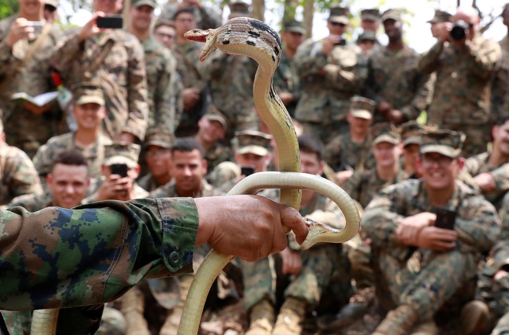 Tailàndia acull el «Cobra Gold», trobada militar anual