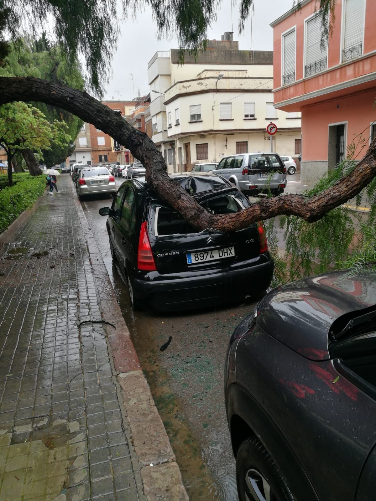 Árbol caído en Burriana que causó daños a un coche en el Jardín del Beso