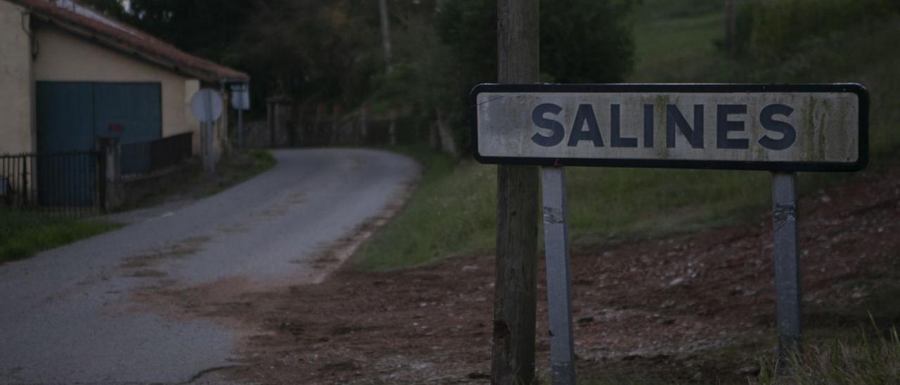 Cartel a la entrada de la localidad de Salines, en la parroquia de Bocines.  | María Fuentes
