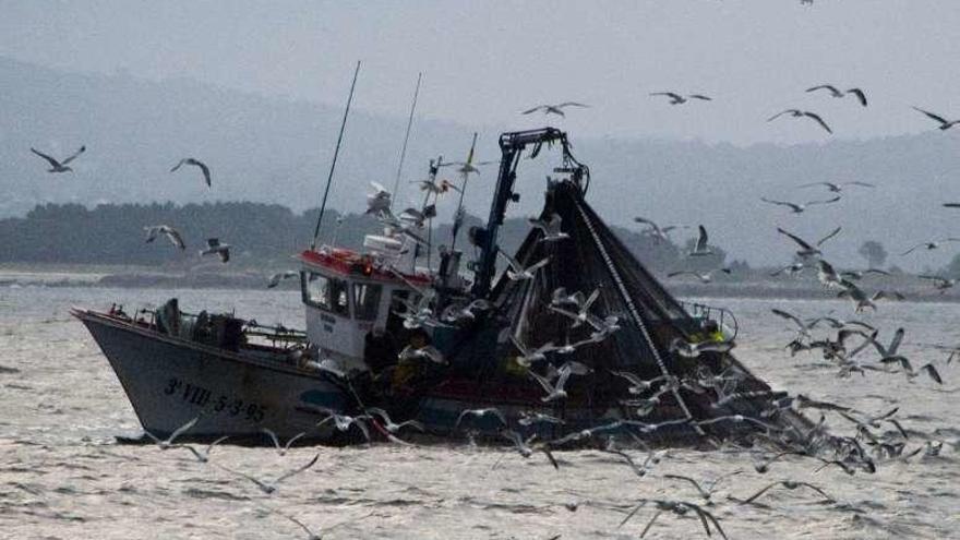 Un cerquero pesca en aguas gallegas.