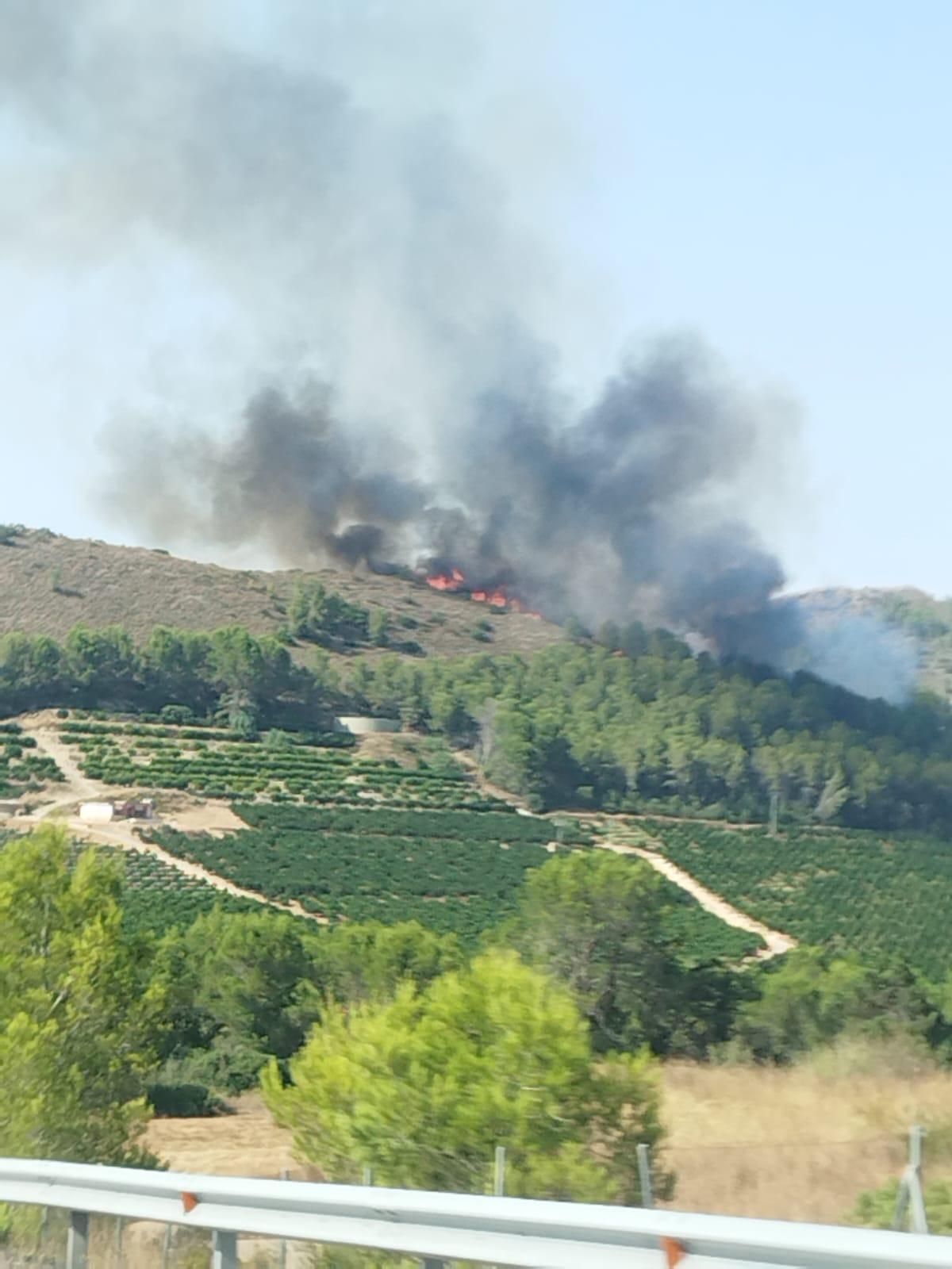 El incendio en las inmediaciones de Bolvens en Xàtiva.