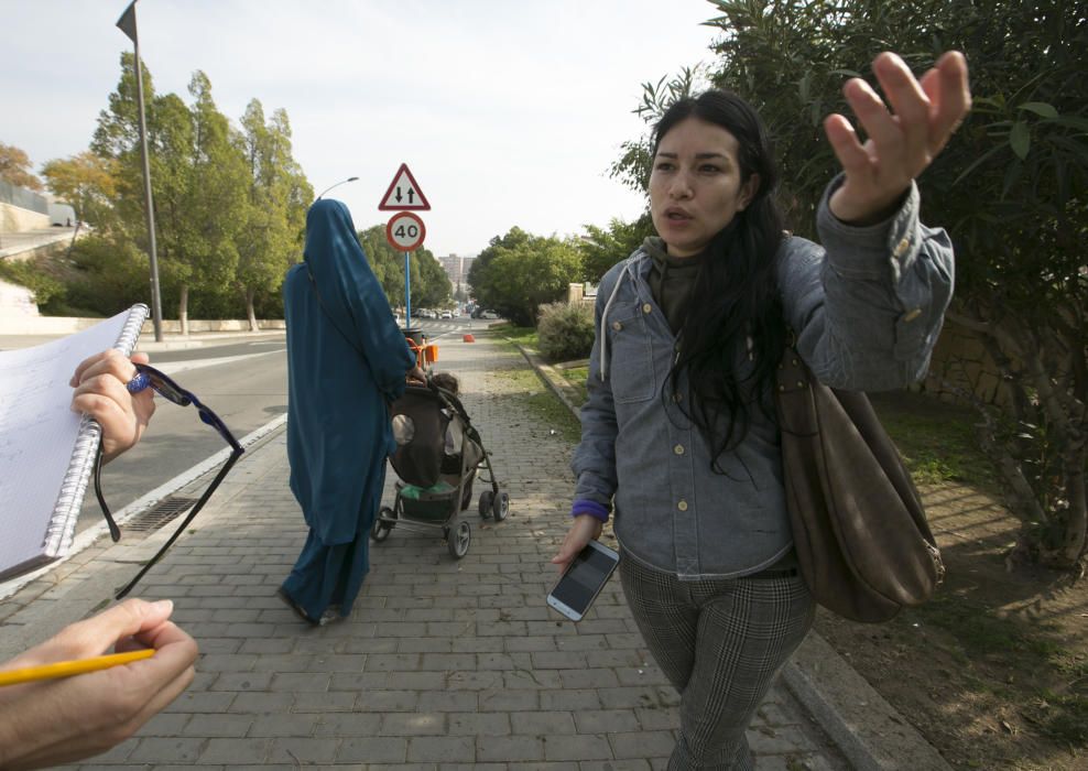 Tortura animal en el parque de Requena