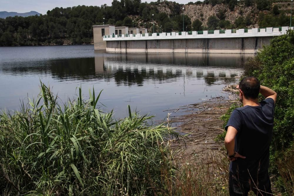 Los pantanos tienen sus reservas a tope