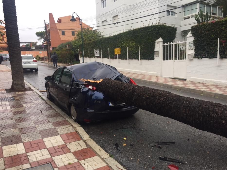 Incidencias de la borrasca Ana en Málaga capital