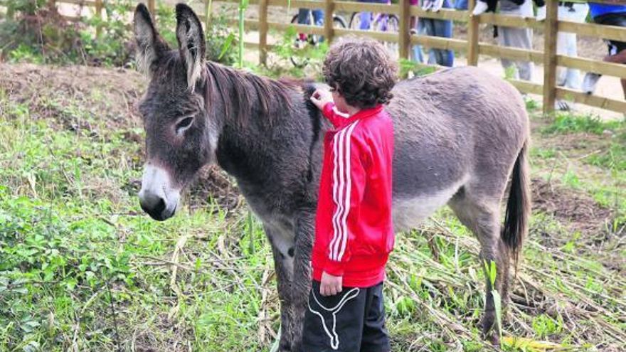 Los vecinos observan a un niño que acaricia a Emilia, la burra alojada en A Toxa junto a Pardo. // Muñiz