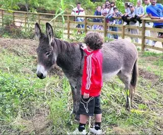 2013: Una leyenda y tres burros para recordar los orígenes del turismo en A Toxa