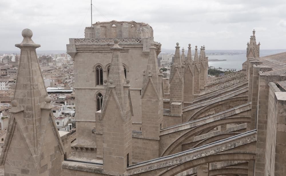 Visita guiada a las terrazas de la Seu