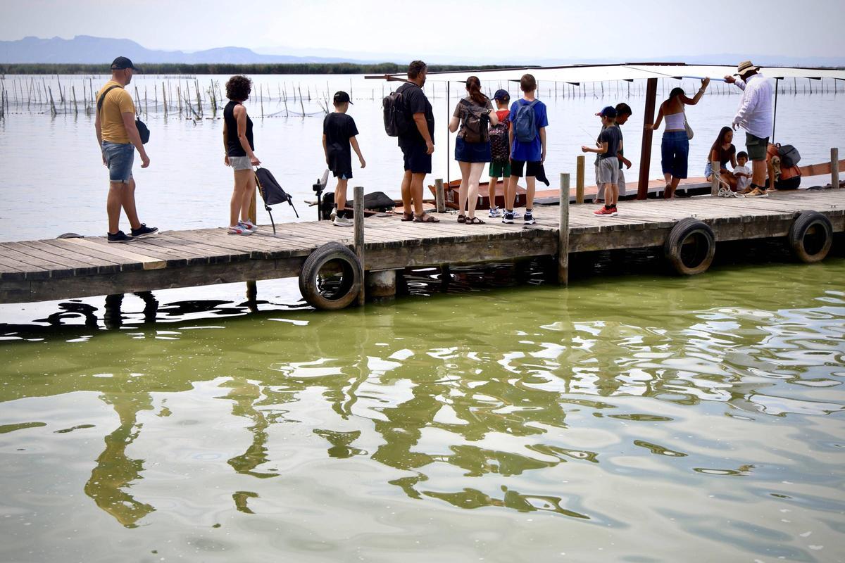 La salinización avanza en l'Albufera