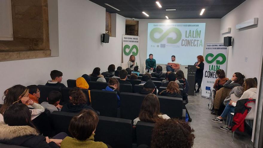 Lalín aglutina o 10% das 163 firmas mercantís creadas en tres meses na área de Santiago