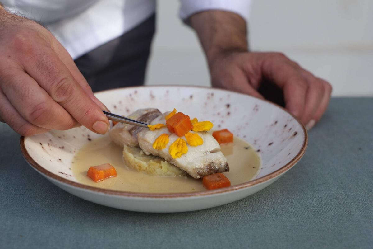 Cordoba Ayuntamiento de Córdoba y el IMIBIC presentan la campaña "Salud y Sabor"