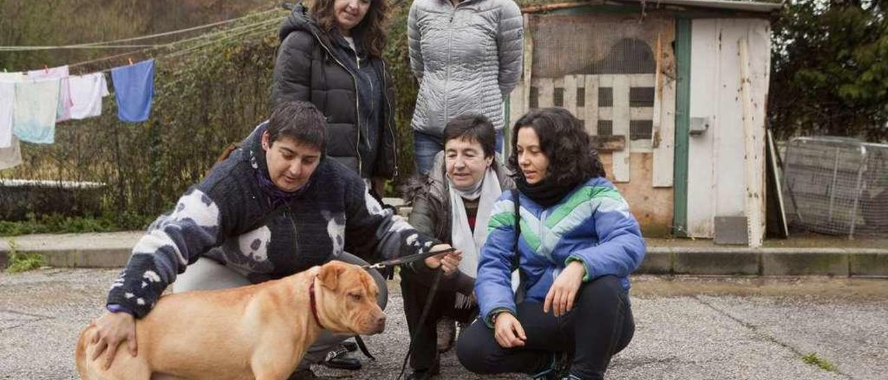 Ana Isabel Fernández, gestora del albergue, junto a Puri Gallego, Ana María López, Mariela Álvarez y Ángeles Fariza, aspirantes a voluntarias.