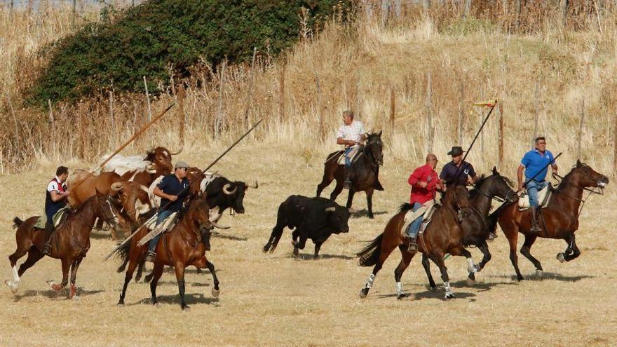 Fiestas en Zamora: Espantes en Fuentelapeña