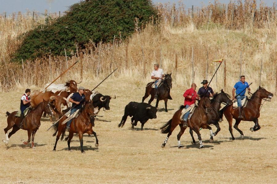 Fiestas en Zamora: Espantes en Fuentelapeña