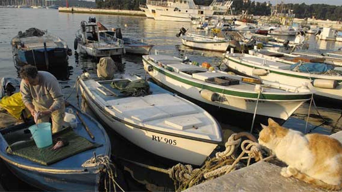 El litoral istrio es
una sucesión de
apacibles calas y
resguardadas bahías.
Puerto
pesquero de
Rov