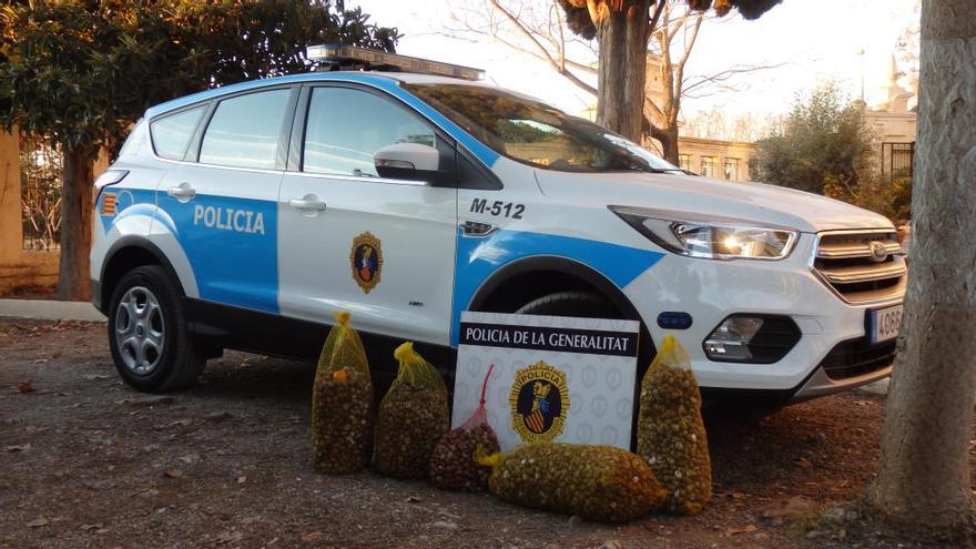 Detenidos con cien kilos de caracoles de distintas especies en Borriana