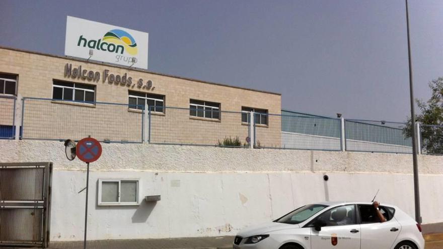 Halcón Foods inicia un vuelo para recuperar más de 12 millones de euros