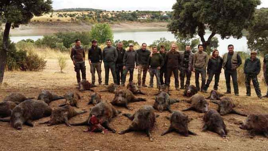 Los 22 jabalíes abatidos en la última montería del coto de Moreruela de Tábara.