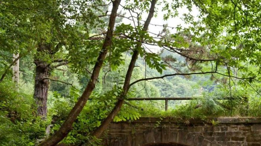 El tren minero del valle de Samuño, en un viaje de prueba.