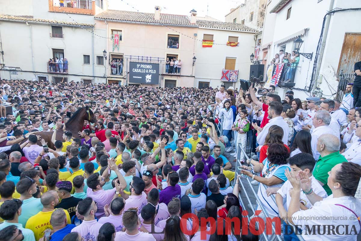 Entrega de premios del concurso morfológico de los Caballos del Vino de Caravaca