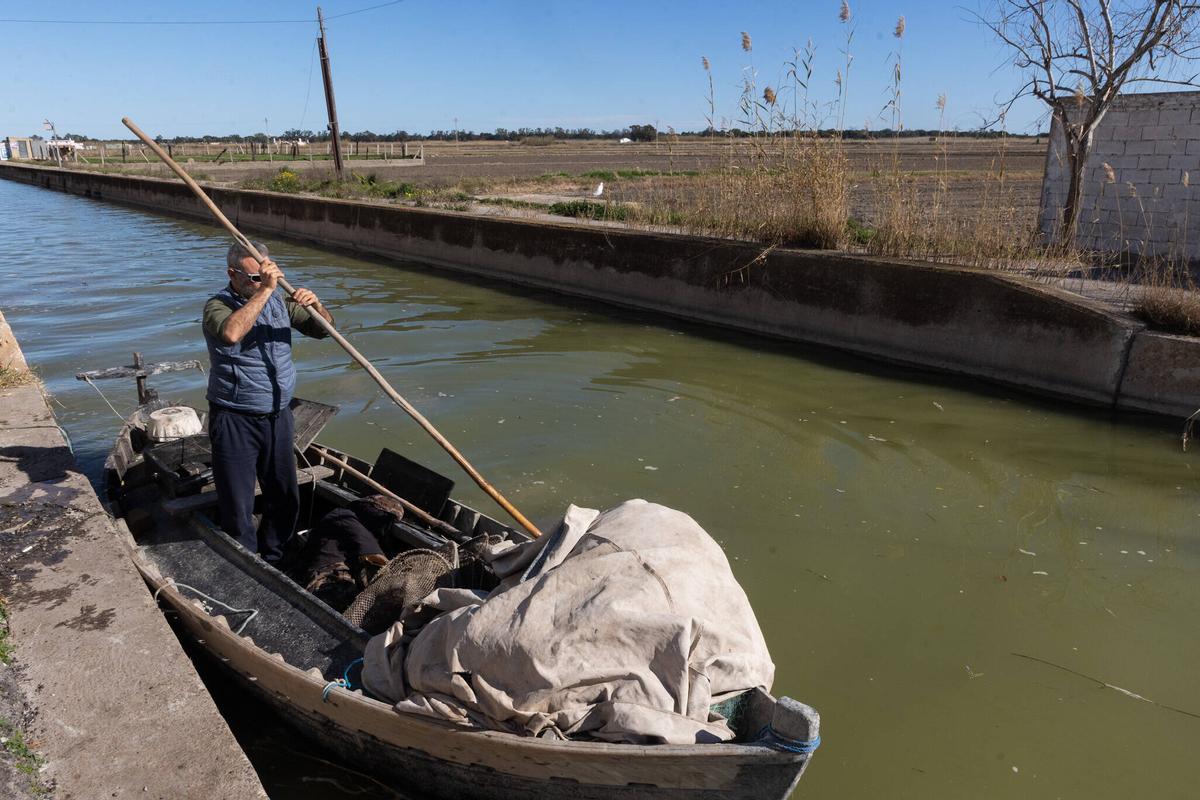 Un pescador en l'Albufera
