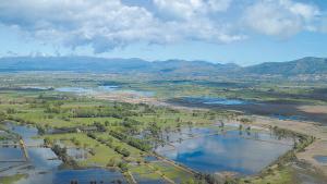 El parque natural de las Marismas del Empordà es un espacio protegido de la provincia de Girona