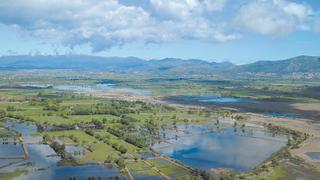 El aire primitivo del Empordà