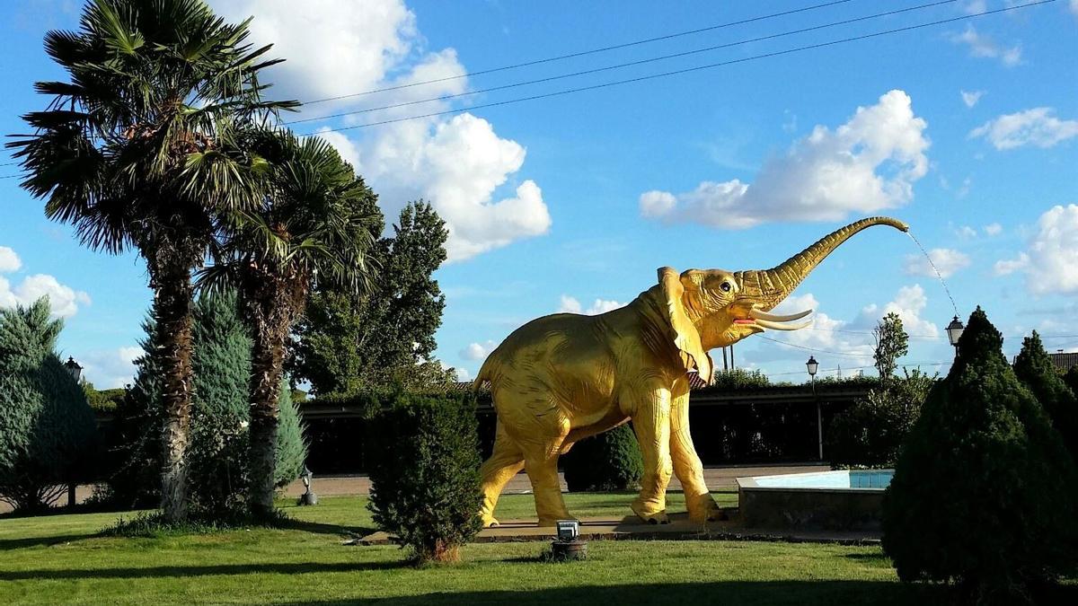 El Elefante de Oro de Zamora, icono del prostíbulo ahora reconvertido en café-bar hostal.