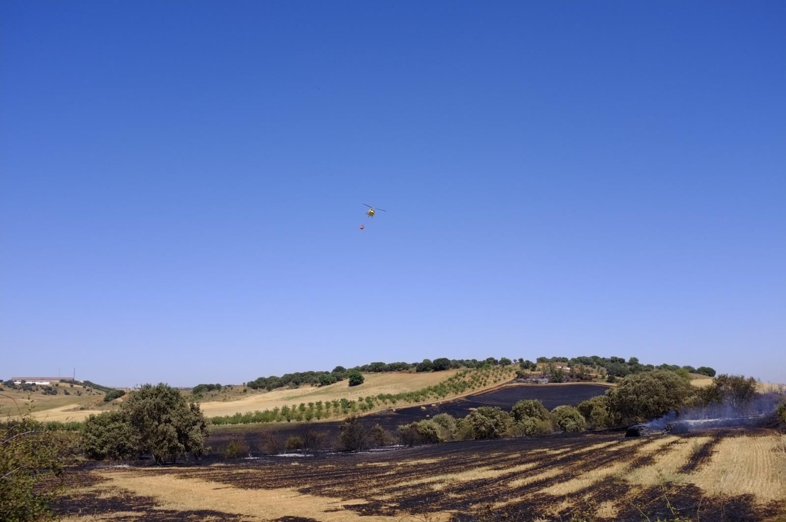 GALERÍA | El incendio forestal de Manganeses de la Polvorosa en imágenes