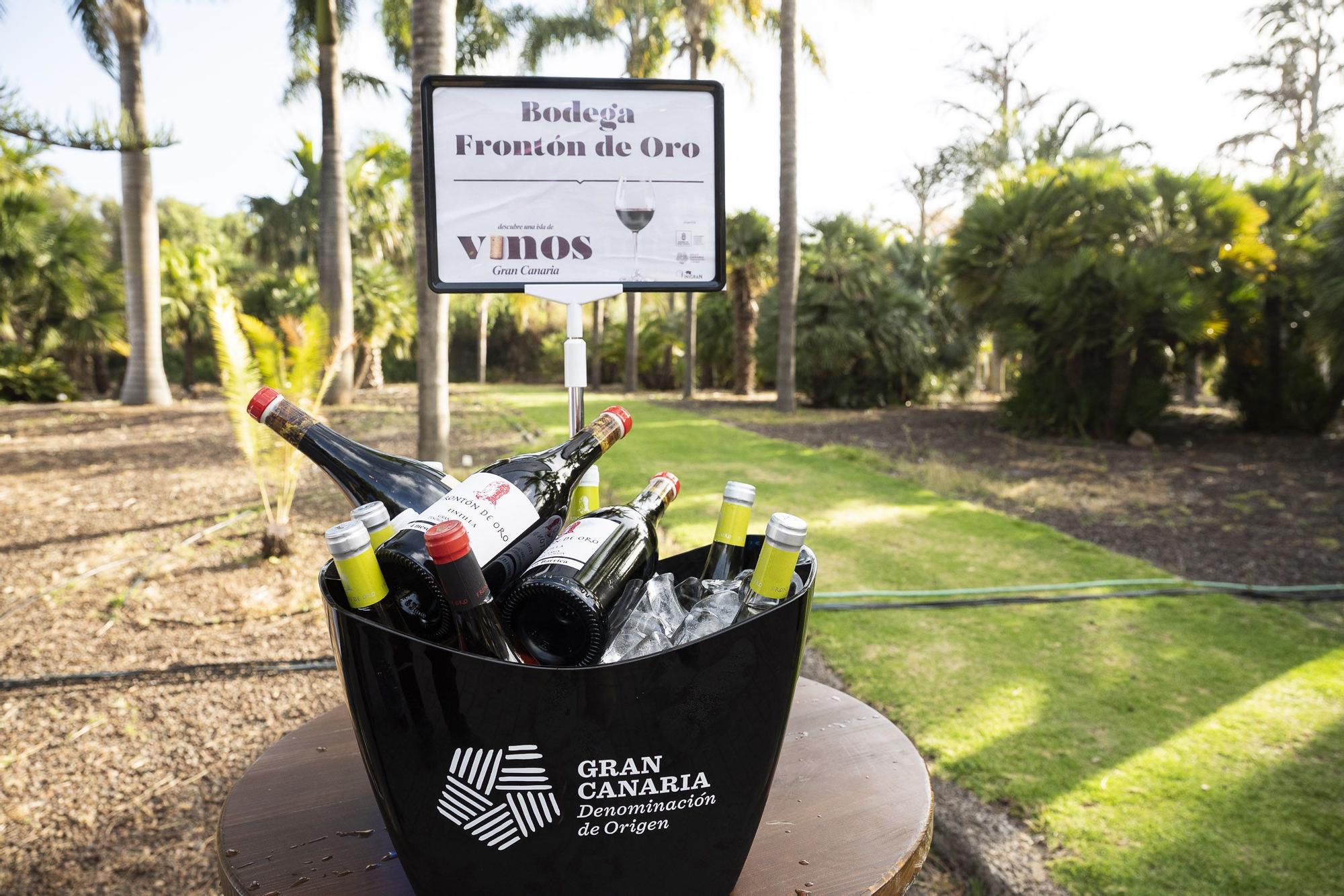 Presentación de la Cosecha de Vinos de Gran Canaria 2022