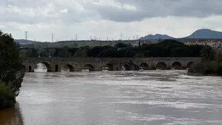 Mérida pide a la ciudadanía que no transite por el parque de la Isla junto al cauce del Guadiana