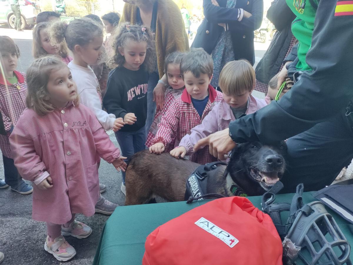 Las secciones de la Guardia Civil en el colegio Reconquista