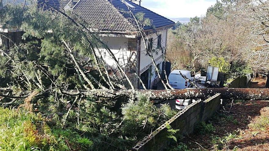 Árbol caído sobre una casa en Chapela a causa del temporal.  | // M.V.